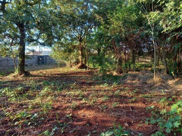 #1630 - Área para Locação em Ribeirão Preto - SP - 2