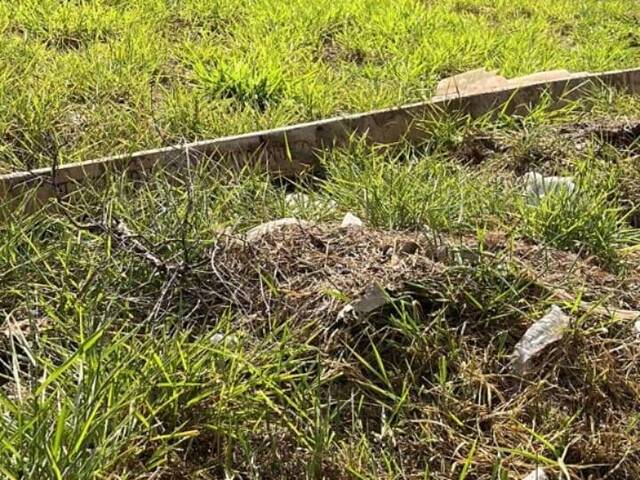 #1714 - Terreno para Locação em Ribeirão Preto - SP - 3