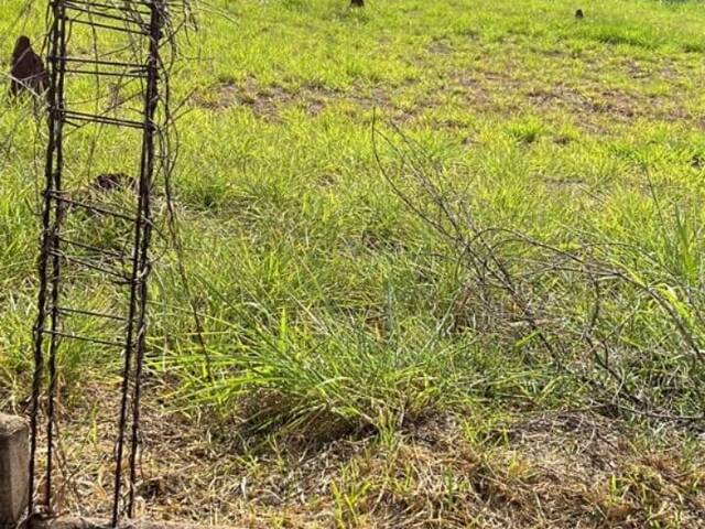 Terreno para Locação em Ribeirão Preto - 4