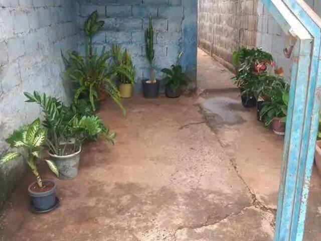 #1789 - Casa para Locação em Ribeirão Preto - SP - 1