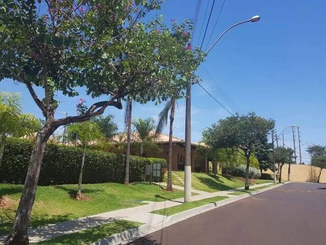 Casa para Locação em Ribeirão Preto - 3