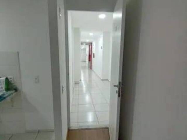 Apartamento para Locação em Ribeirão Preto - 4