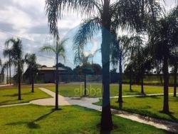 Terreno para Venda em Brodowski - 2